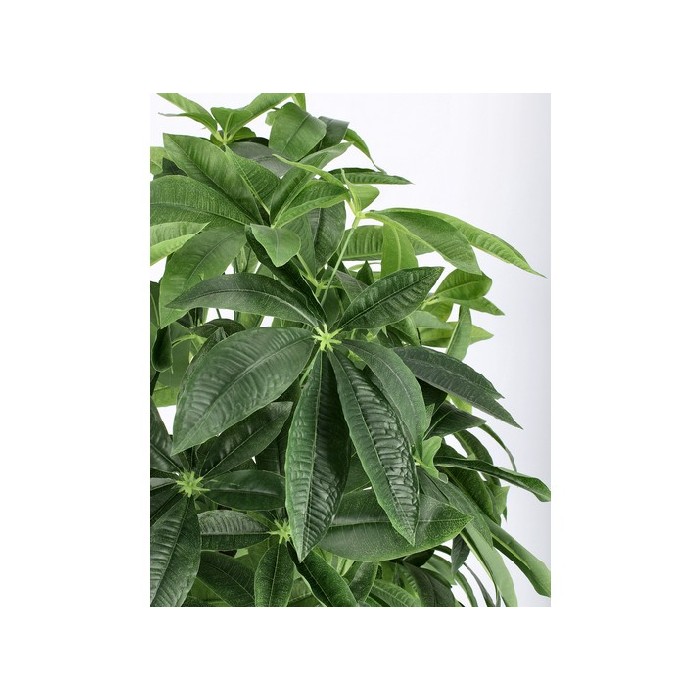 home-decor/artificial-plants-flowers/bizzotto-pachira-aquatica-plant-with-pot-360-leaves-70cm-x-70cm-x-160cm