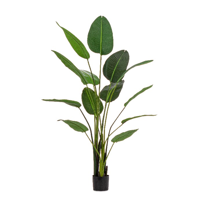 home-decor/artificial-plants-flowers/bizzotto-sterilizia-plant-with-vase-13-leaves-height-185cm