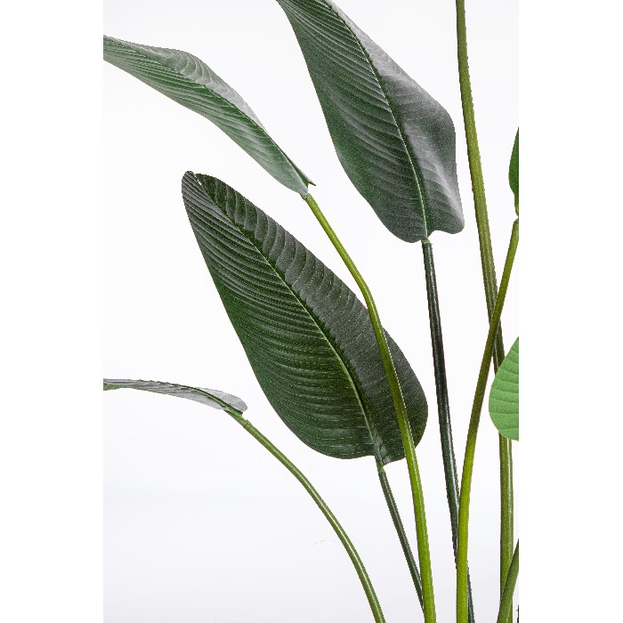 home-decor/artificial-plants-flowers/bizzotto-sterilizia-plant-with-vase-13-leaves-height-235cm