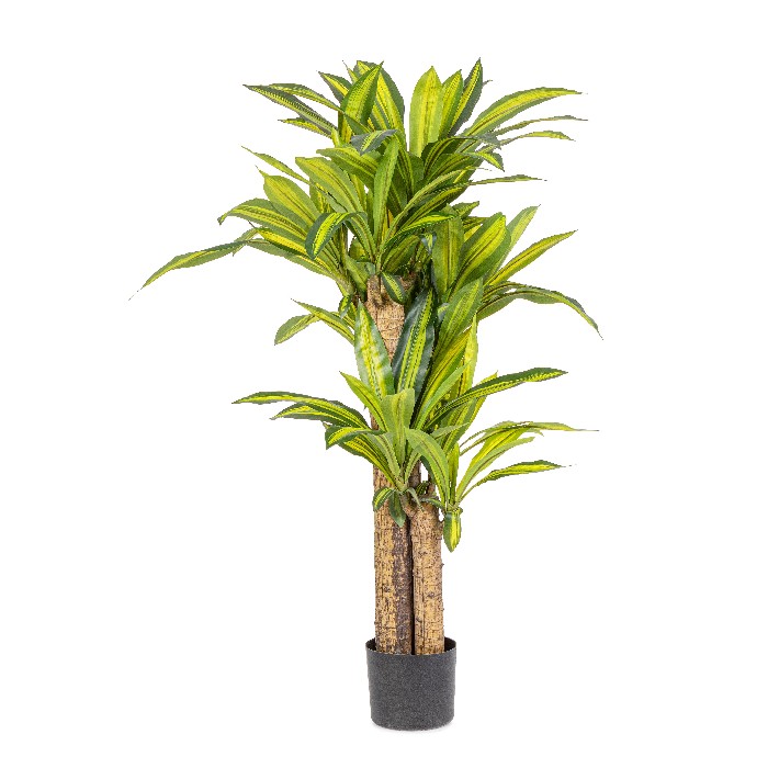 home-decor/artificial-plants-flowers/bizzotto-dracaena-plant-with-vase-height-130cm