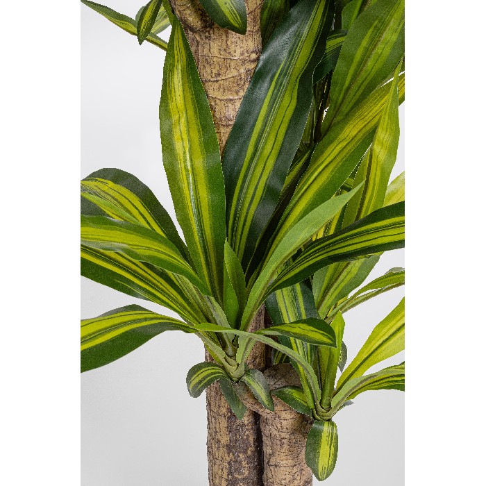home-decor/artificial-plants-flowers/bizzotto-dracaena-plant-with-vase-height-130cm