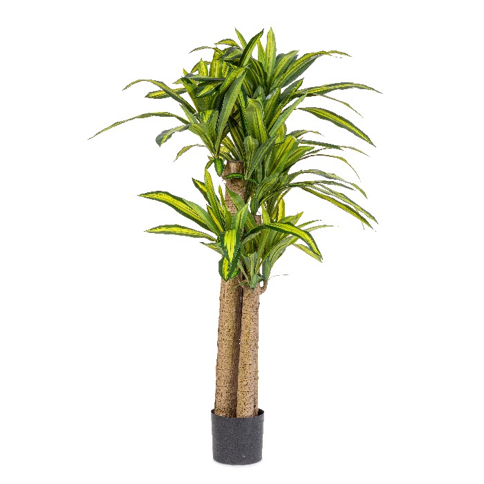 home-decor/artificial-plants-flowers/bizzotto-dracaena-plant-with-vase-height-150cm