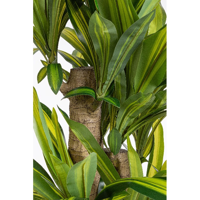 home-decor/artificial-plants-flowers/bizzotto-dracaena-plant-with-vase-height-150cm