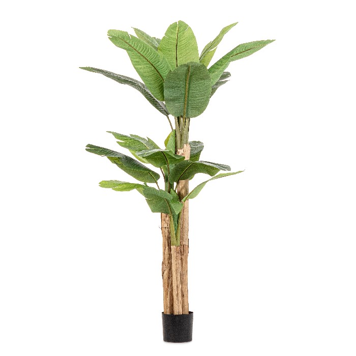 home-decor/artificial-plants-flowers/bizzotto-banana-plant-with-vase-20-leaves-height-200cm