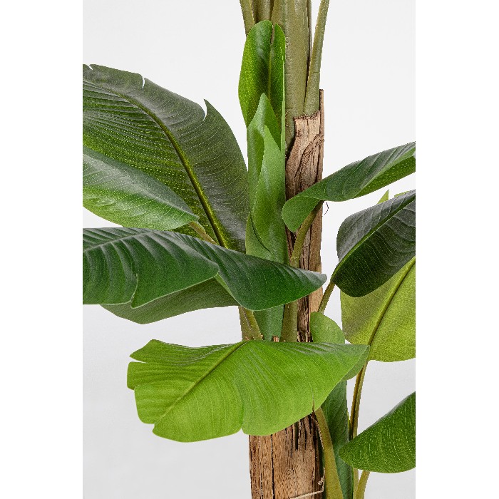 home-decor/artificial-plants-flowers/bizzotto-banana-plant-with-vase-20-leaves-height-200cm