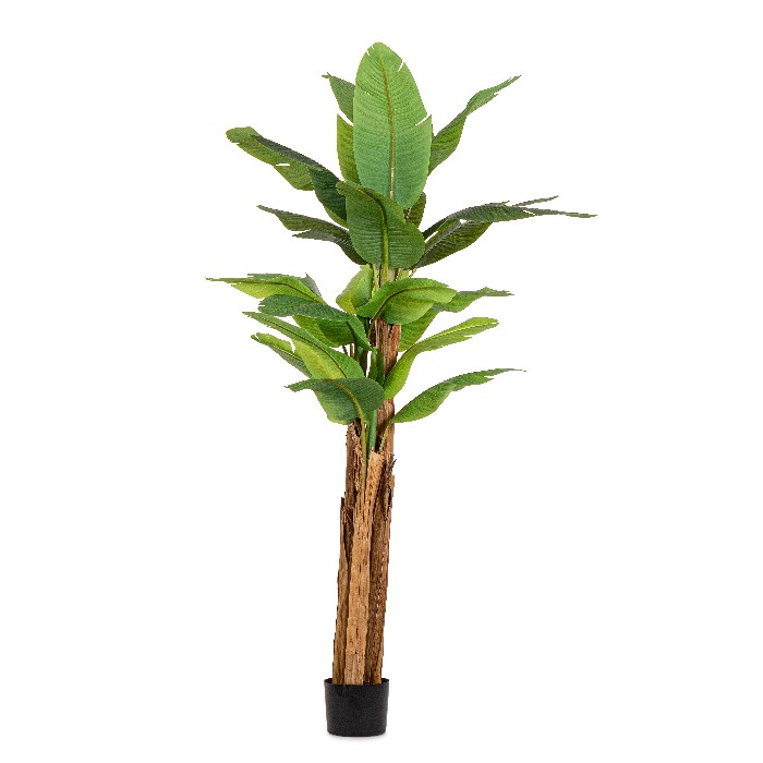 home-decor/artificial-plants-flowers/bizzotto-banana-plant-with-vase-22-leaves-height-240cm