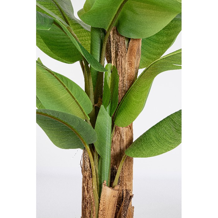 home-decor/artificial-plants-flowers/bizzotto-banana-plant-with-vase-22-leaves-height-240cm