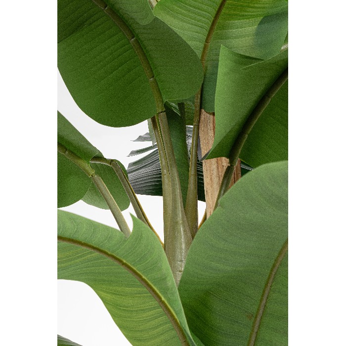 home-decor/artificial-plants-flowers/bizzotto-banana-plant-with-vase-30-leaves-height-320cm