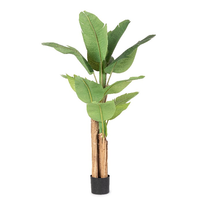 home-decor/artificial-plants-flowers/bizzotto-banana-plant-with-vase-13-leaves-height-150cm