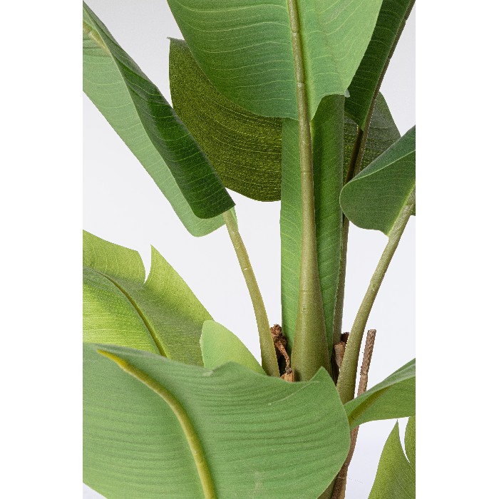 home-decor/artificial-plants-flowers/bizzotto-banana-plant-with-vase-13-leaves-height-150cm