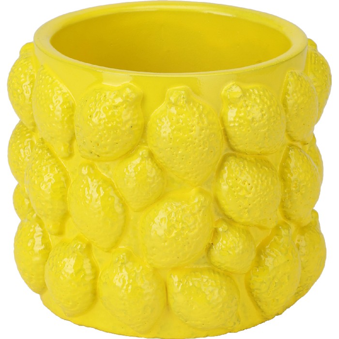 home-decor/indoor-pots-plant-stands/cement-flowerpot-lemon-design