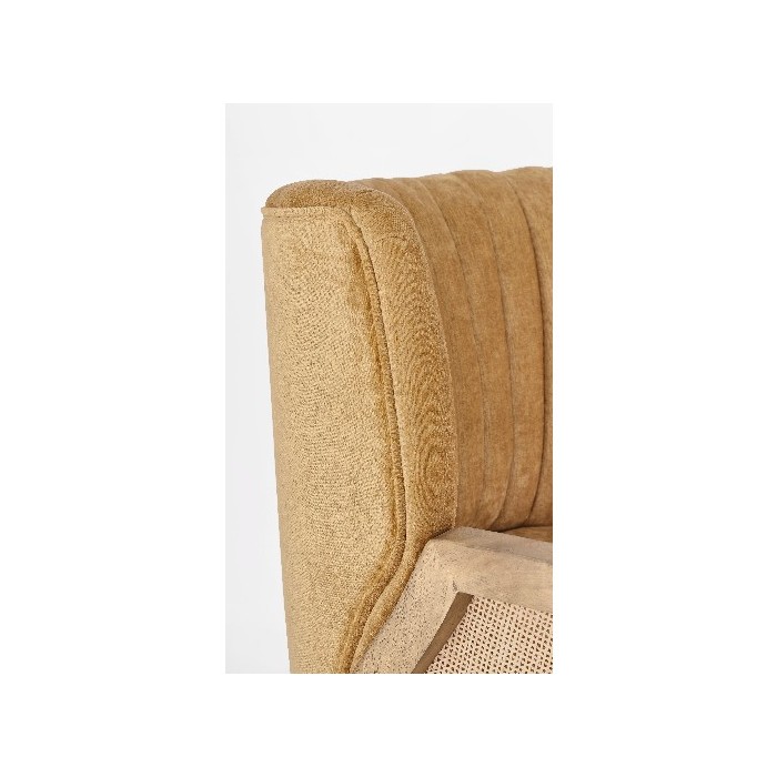 living/seating-accents/bizzotto-virna-mustard-armchair
