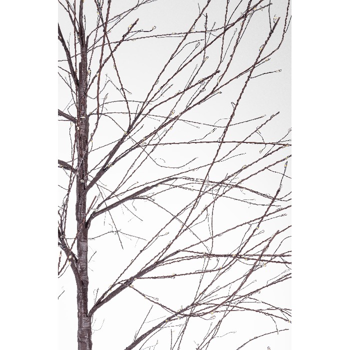 christmas/christmas-trees/bizzotto-bunch-brown-christmas-tree-1500-classic-micro-led-h180cm