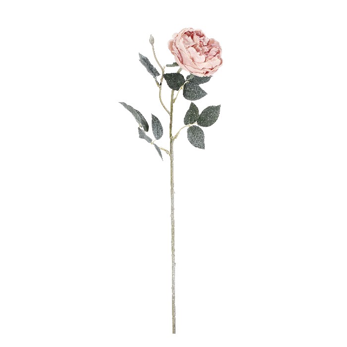 home-decor/artificial-plants-flowers/austin-light-pink-rose-h61cm