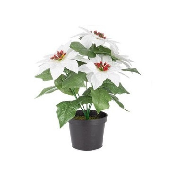 christmas/decorations/yard-potted-green-plant-with-white-berries-–-h22cm