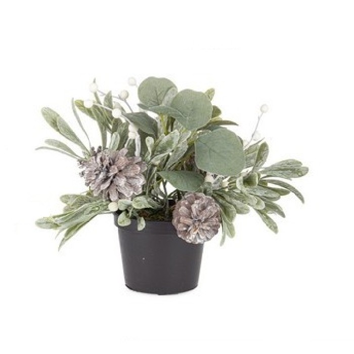 christmas/decorations/yard-potted-plant-with-white-poinsettia-–-5-flowers-–-h29cm