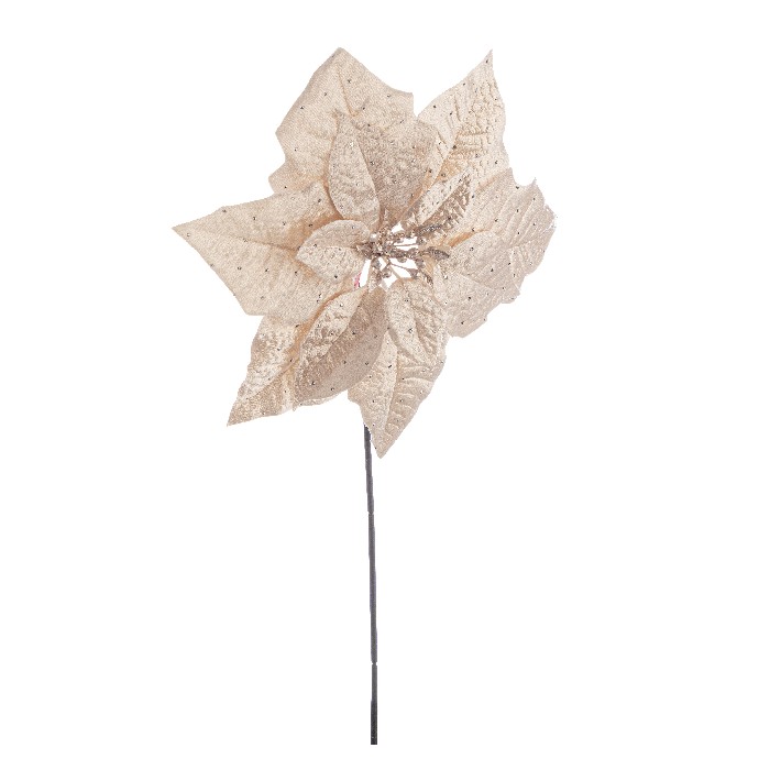 christmas/decorations/julie-beige-poinsettia-–-h46cm