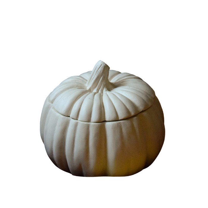 home-decor/candles-home-fragrance/nemnem-spicy-vanilla-pumpkin