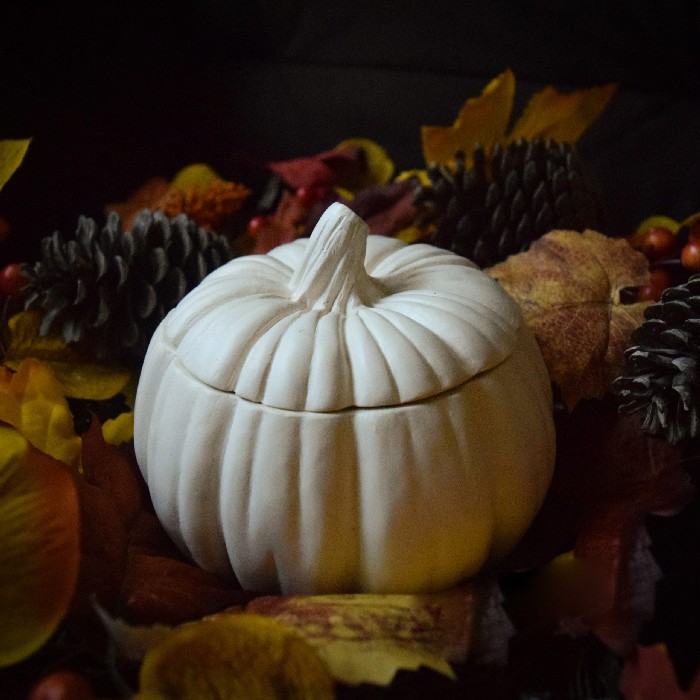 home-decor/candles-home-fragrance/nemnem-spicy-vanilla-pumpkin