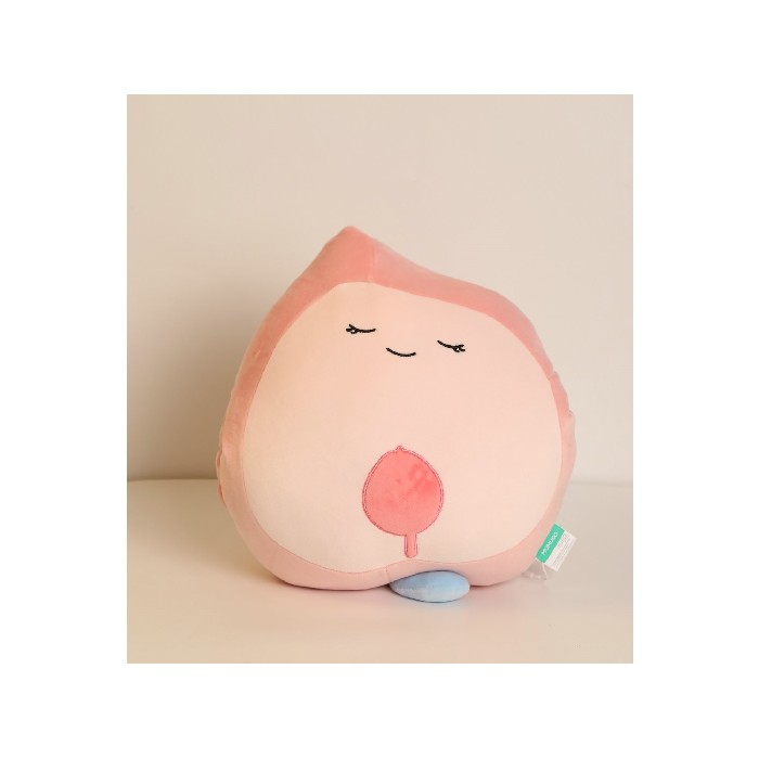 household-goods/clothes-shoes-accessories/mumuso-peach-shaped-hand-warmer-pillow