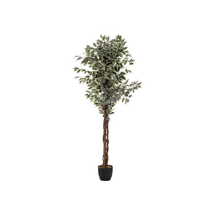 home-decor/artificial-plants-flowers/atmosphera-artificial-ficus-bico-h180cm