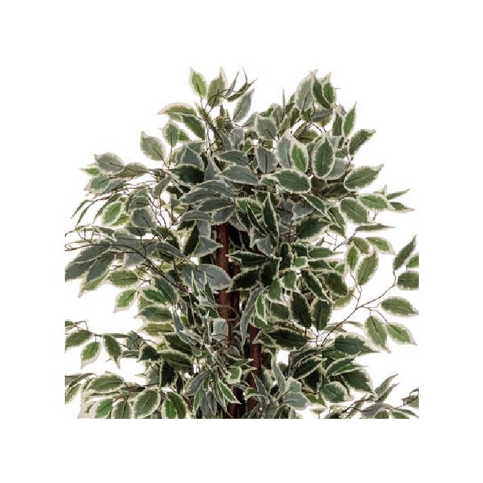 home-decor/artificial-plants-flowers/atmosphera-artificial-ficus-bico-h180cm