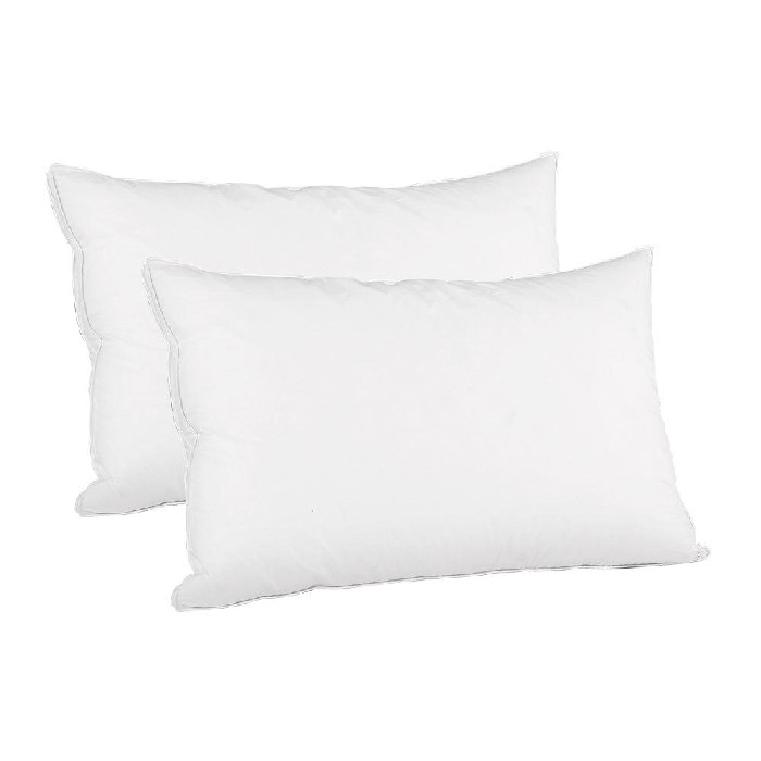 bedrooms/pillows/pack-of-2-goose-feather-pillows-white