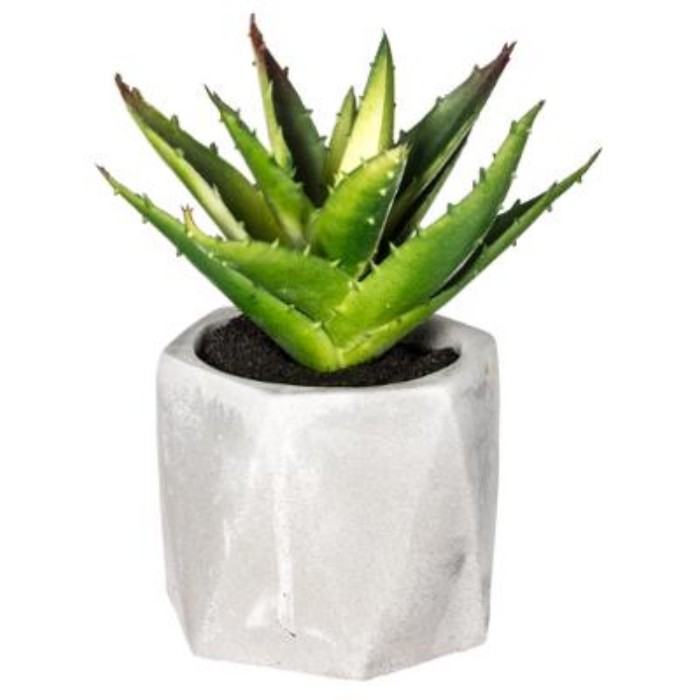 home-decor/artificial-plants-flowers/atmosphera-artificial-plant-scandi-pot-d7cm-x-h14cm