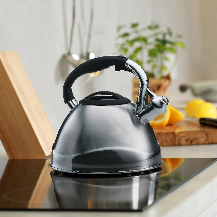 kitchenware/tea-coffee-accessories/kela-gas-kettle-varus-3l-stainless-steel