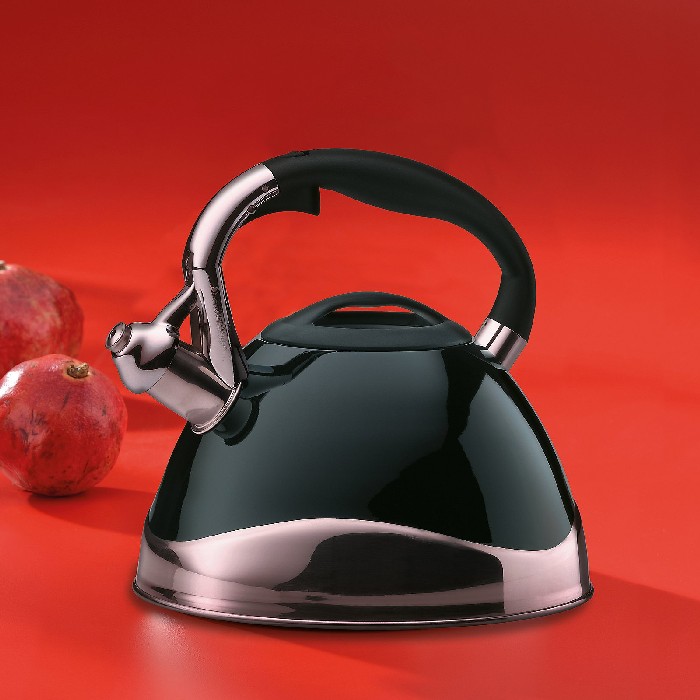 small-appliances/kettles/kela-gas-kettle-varus-black