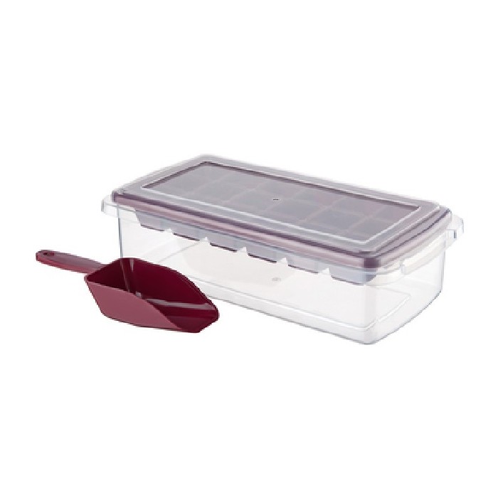 kitchenware/miscellaneous-kitchenware/tropical-ice-cube-maker-with-spoon-box