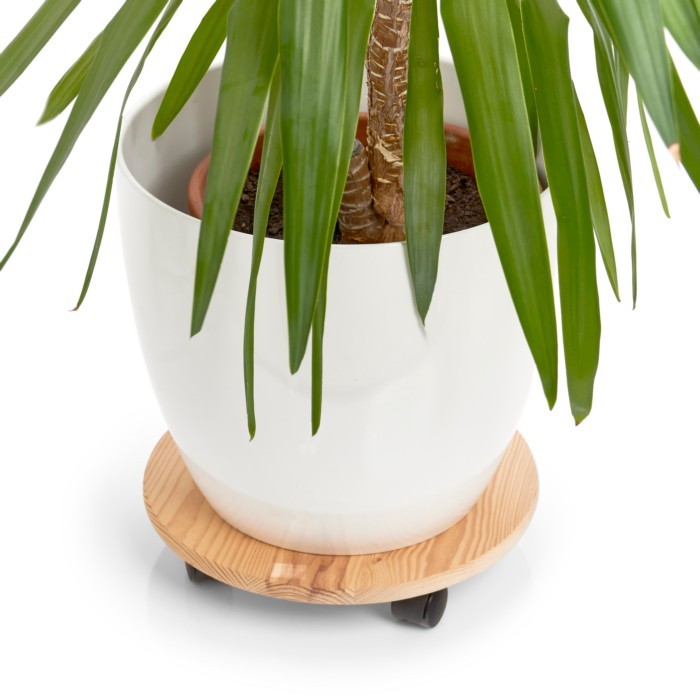 other/hardware-accessories/zeller-plant-roller-round-pine
