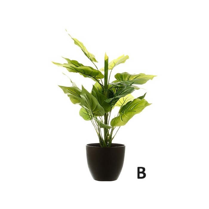 home-decor/artificial-plants-flowers/atmosphera-real-touch-green-plant-h45cm-2-assorted