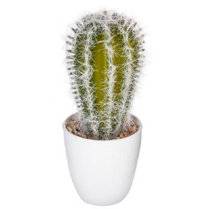 home-decor/artificial-plants-flowers/atmosphera-succulent-cactus-box-18cm