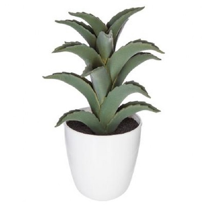 home-decor/artificial-plants-flowers/atmosphera-succulent-cactus-box-18cm