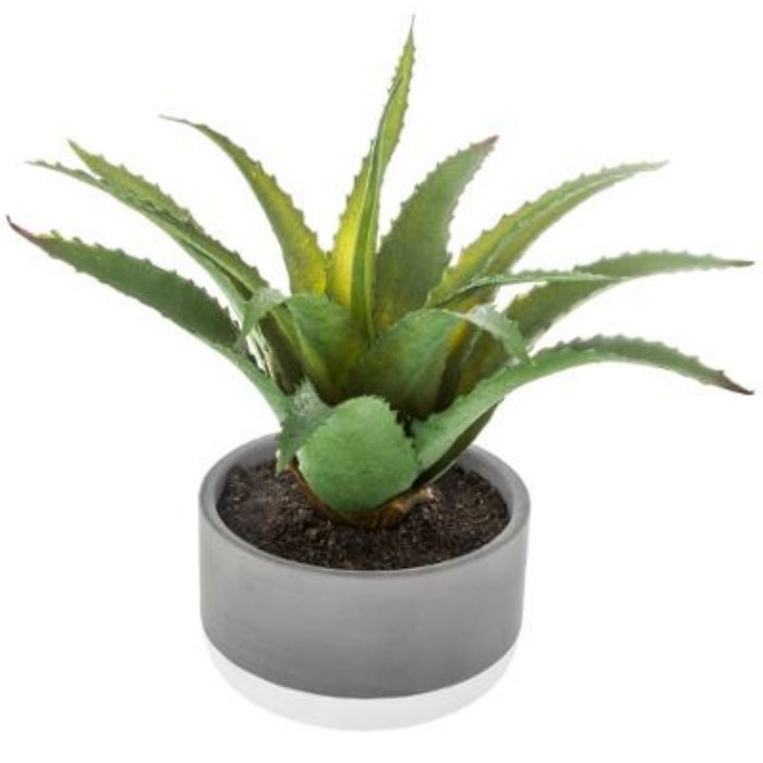 home-decor/artificial-plants-flowers/atmosphera-succulent-cement-bicolor-pot
