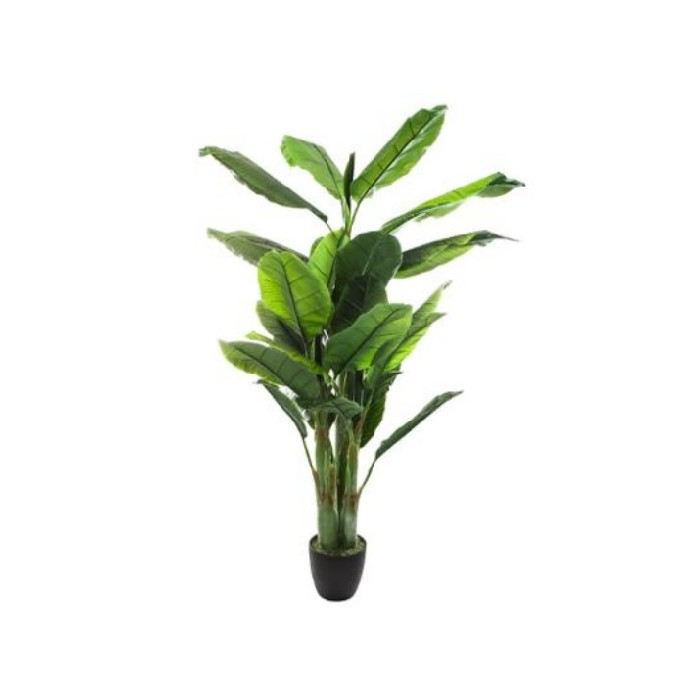 home-decor/artificial-plants-flowers/atmosphera-big-banana-tree-h170cm