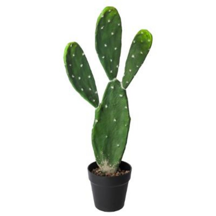 home-decor/artificial-plants-flowers/atmosphera-cactus-h60