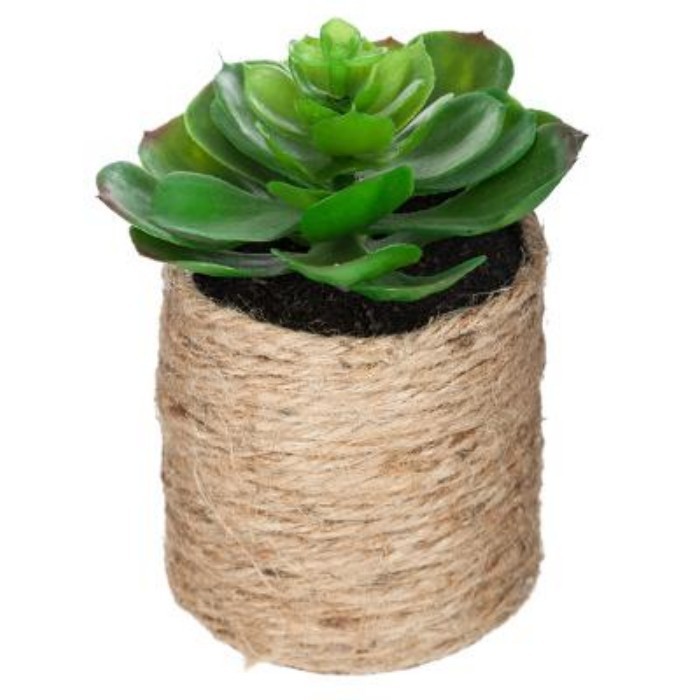 home-decor/artificial-plants-flowers/atmosphera-green-plant-in-rope-pot-h16cm