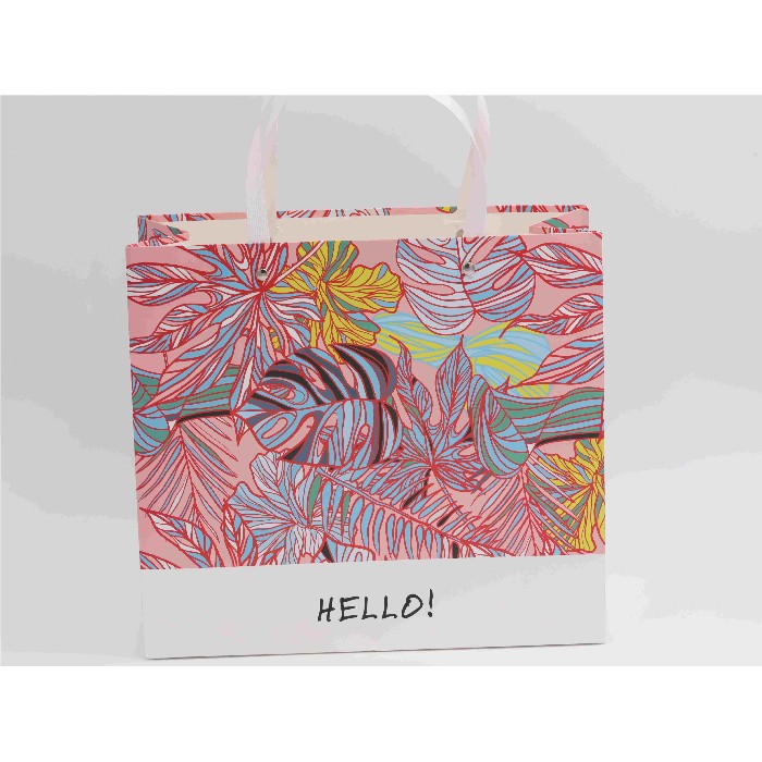 kids-and-stationery/stationery/mumuso-rectangular-gift-bag-rainforestredm
