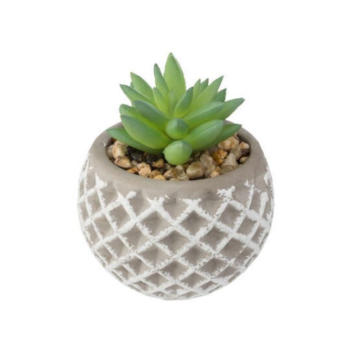 home-decor/artificial-plants-flowers/atmosphera-succulent-cement-pot-d8cm-x-h9cm-marque