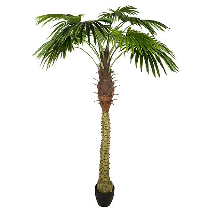 home-decor/artificial-plants-flowers/atmosphera-palmtree-h180cm