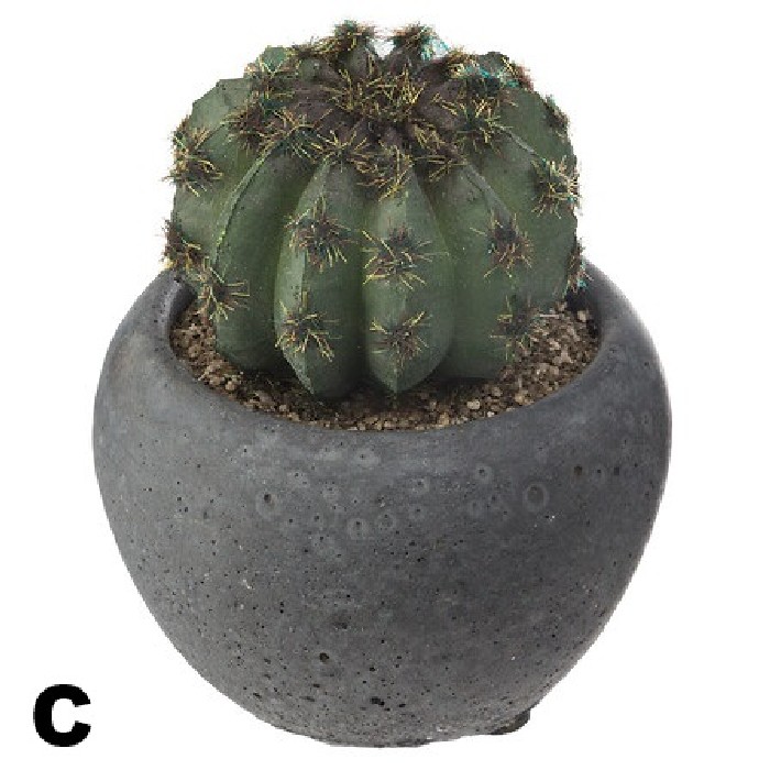 home-decor/artificial-plants-flowers/atmosphera-cactus-plant-in-cement-pot
