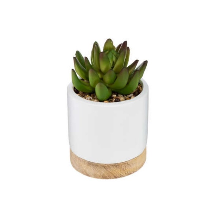 home-decor/deco/atmosphera-artif-plant-crmc-wood-h12-marque