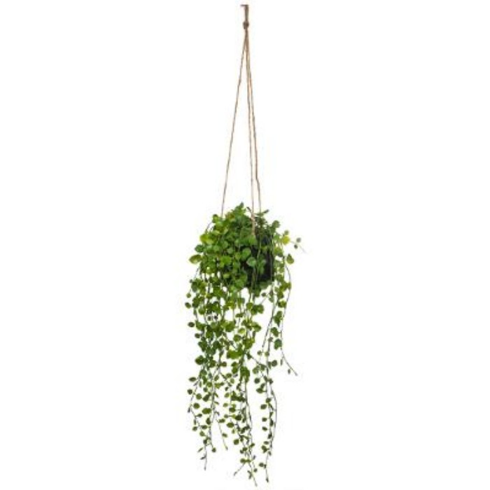 home-decor/artificial-plants-flowers/atmosphera-falling-plant-cement-pot-h105