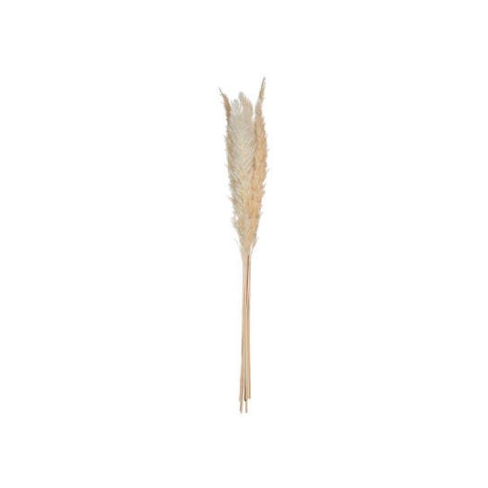 home-decor/artificial-plants-flowers/atmosphera-artificial-pampa-nat-stem-white-set-of-6-65cm