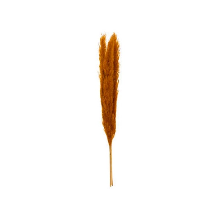 home-decor/artificial-plants-flowers/atmosphera-artificial-pampa-ocher-orange-3-pieces-109cm