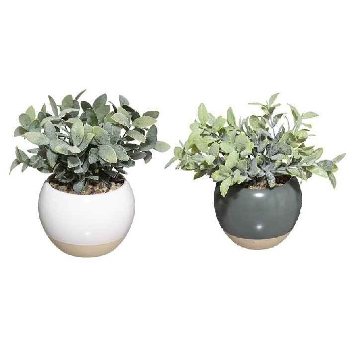 home-decor/artificial-plants-flowers/atmosphera-plant-with-ceramic-pot-diameter-11cm-marque-2-assorted