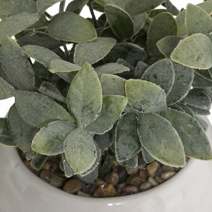 home-decor/artificial-plants-flowers/atmosphera-plant-with-ceramic-pot-diameter-11cm-marque-2-assorted