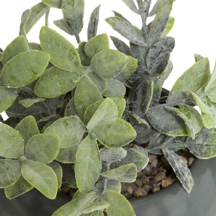 home-decor/artificial-plants-flowers/atmosphera-plant-with-ceramic-pot-diameter-11cm-marque-2-assorted